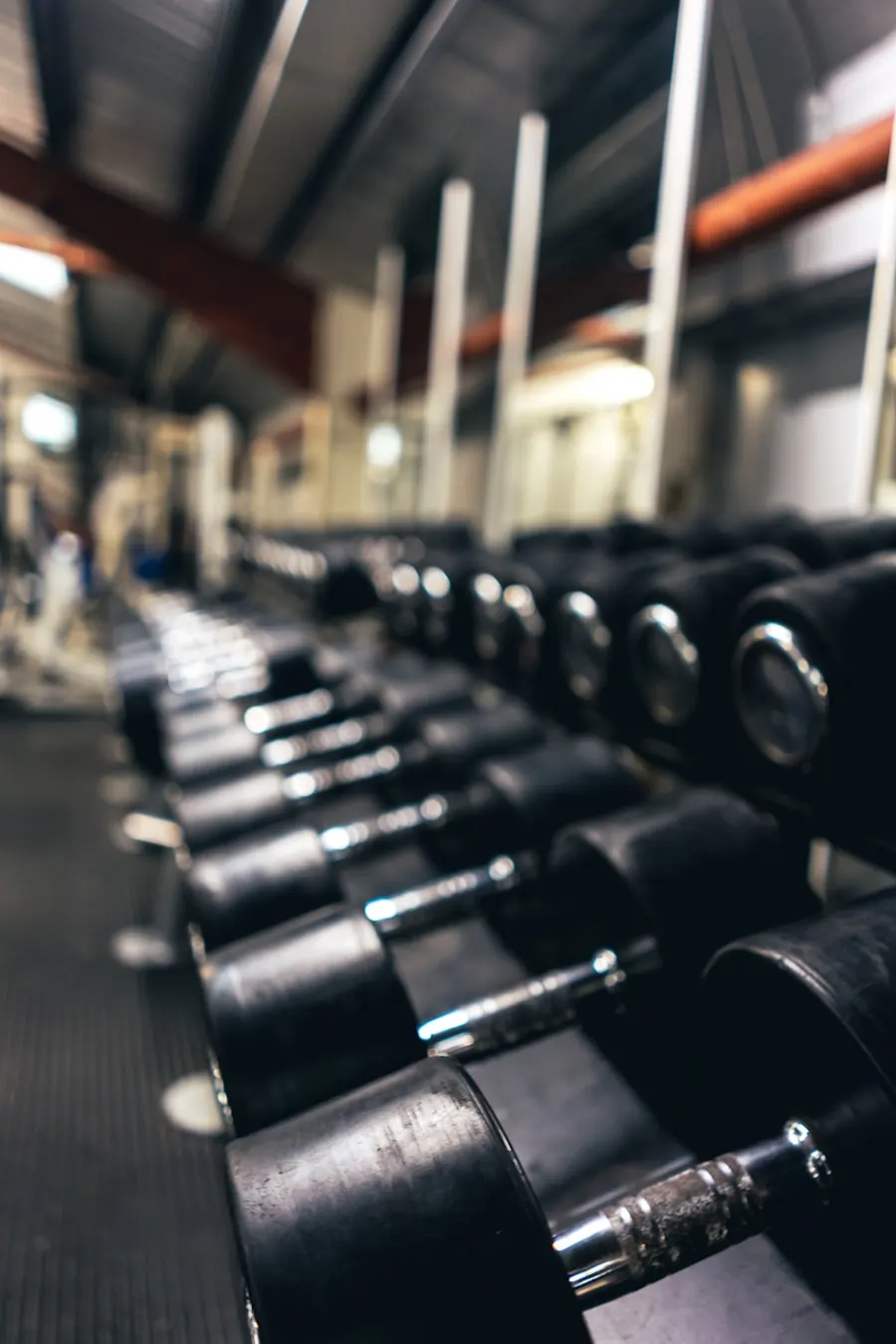 Rows of cardio machines in a gym